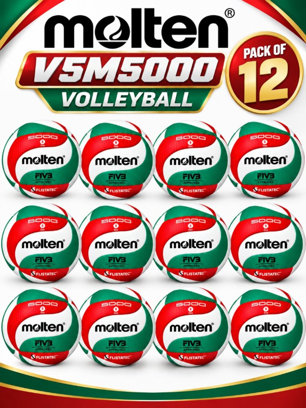 Molten V5M5000 Volleyball Size 5 Soft Touch PU Microfiber Pack of 12